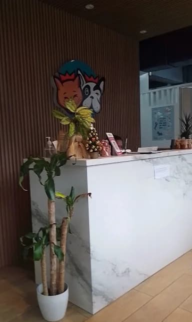 Golden Bunch Veterinary Clinic Imus Cavite, photo 1