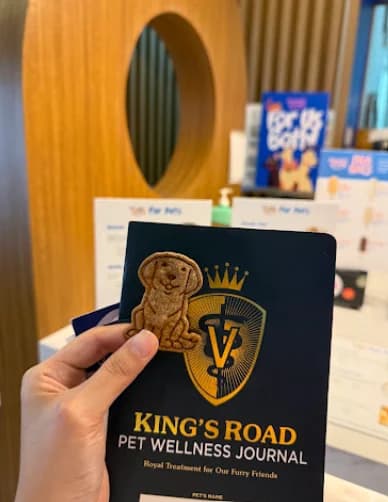 King's Road Veterinary Care - Vermosa Branch