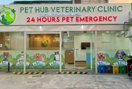 Pet Hub Veterinary Clinic - Mambog Branch Bacoor Annex