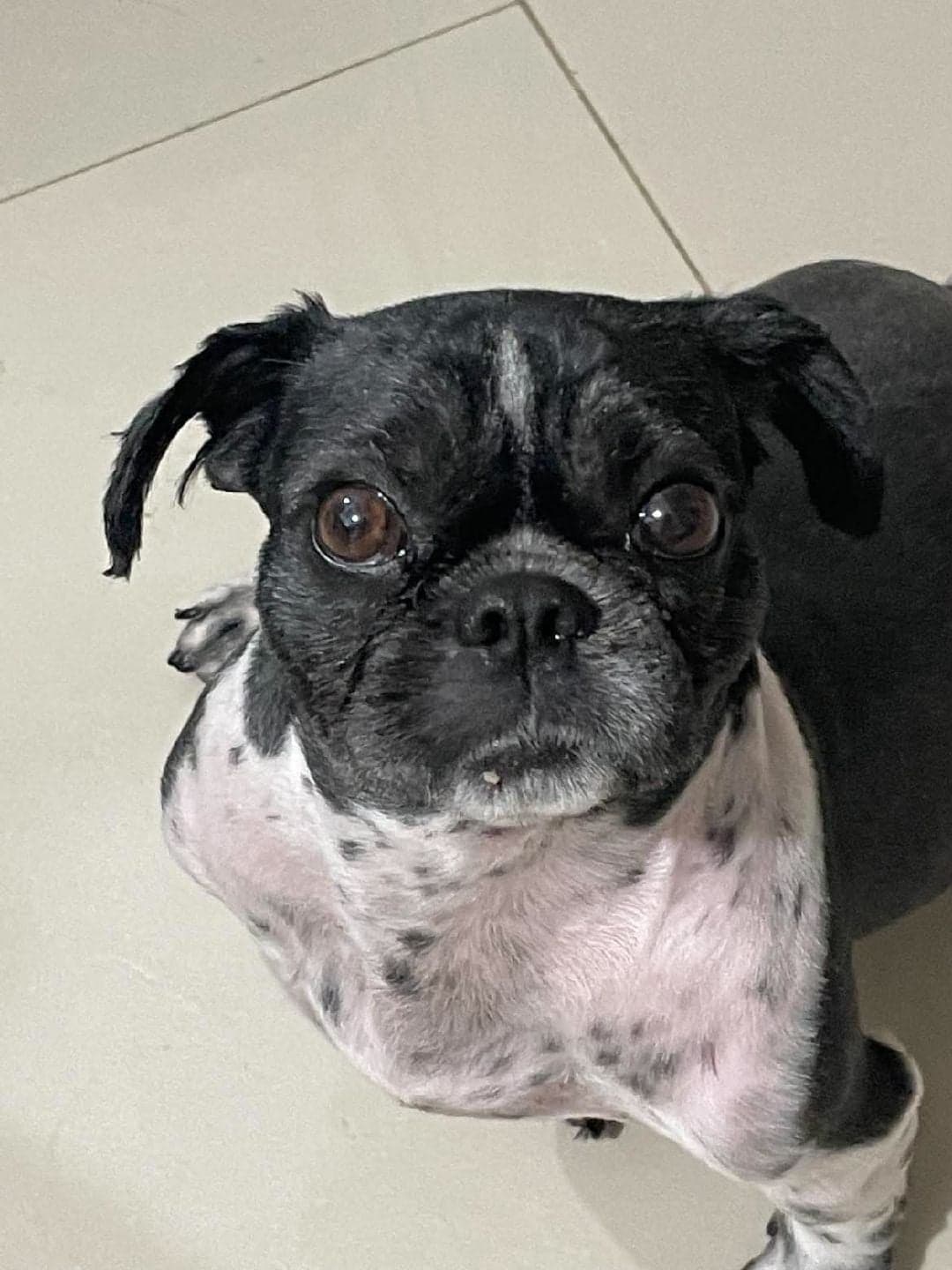 Photo of bruce