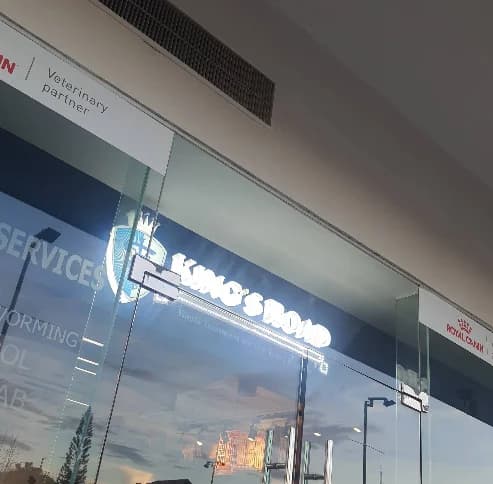 Kings Road Veterinary Clinic- The District Imus Mall