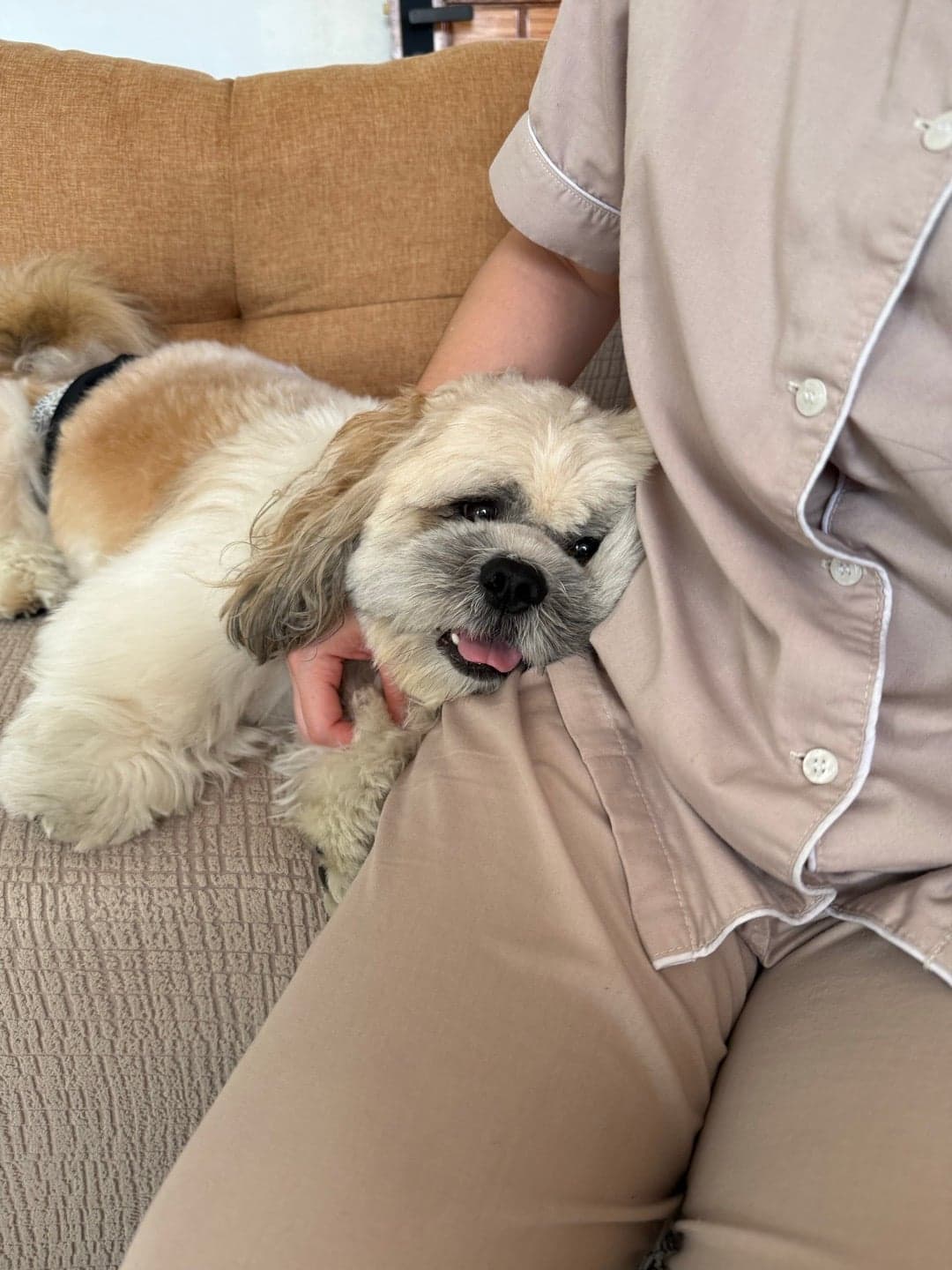 Photo of Bailey