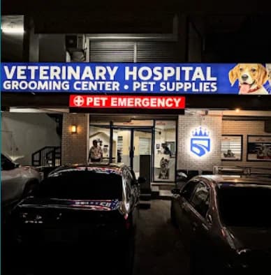 King's Road Veterinary Clinic - Bacoor Branch