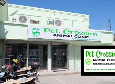 Kawit Petcrossing Animal Clinic, photo 1