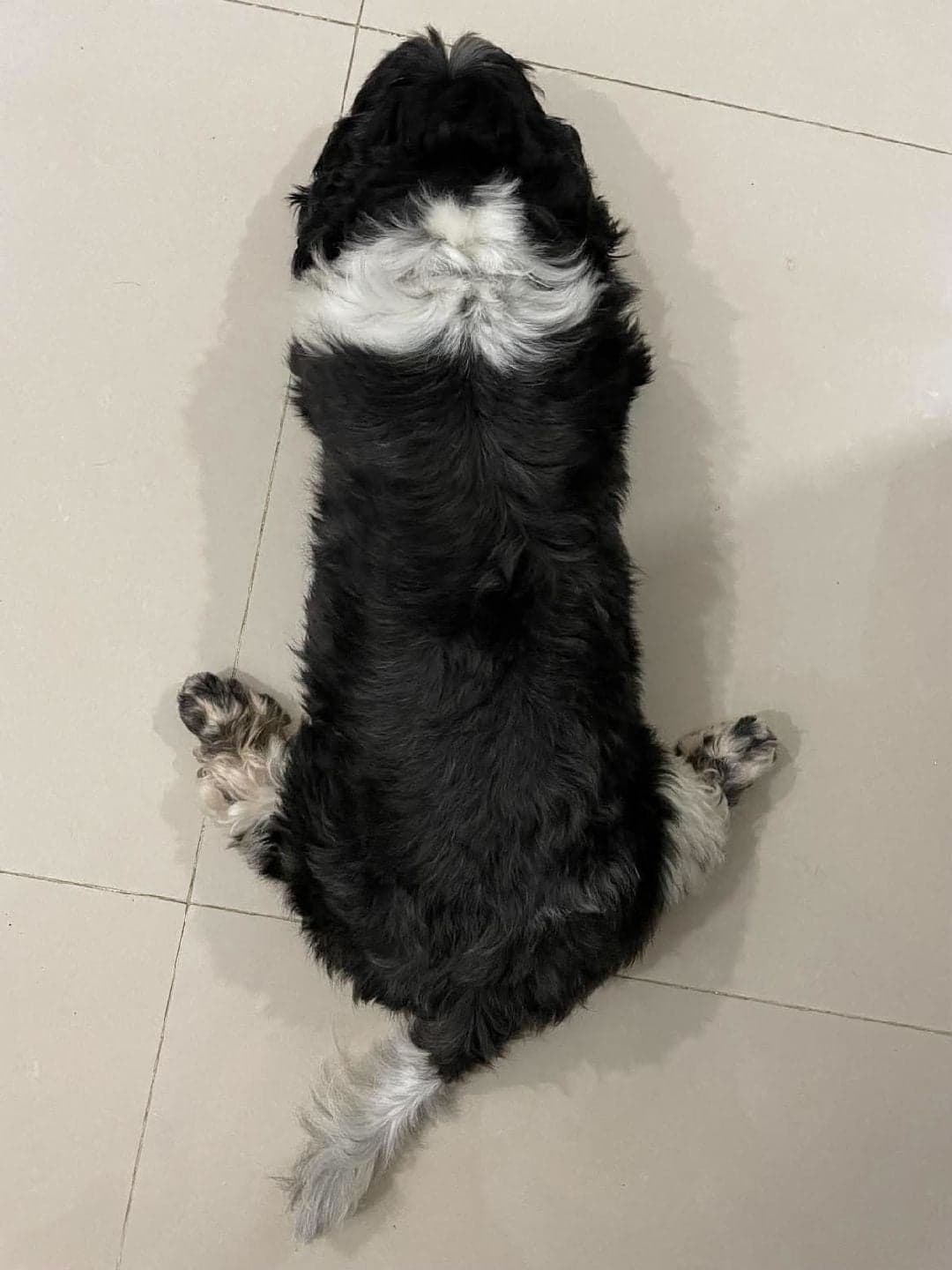 Photo of bruce